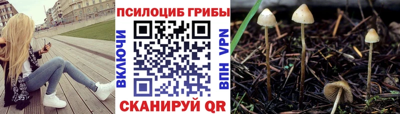 Галлюциногенные грибы MAGIC MUSHROOMS  Шиханы 